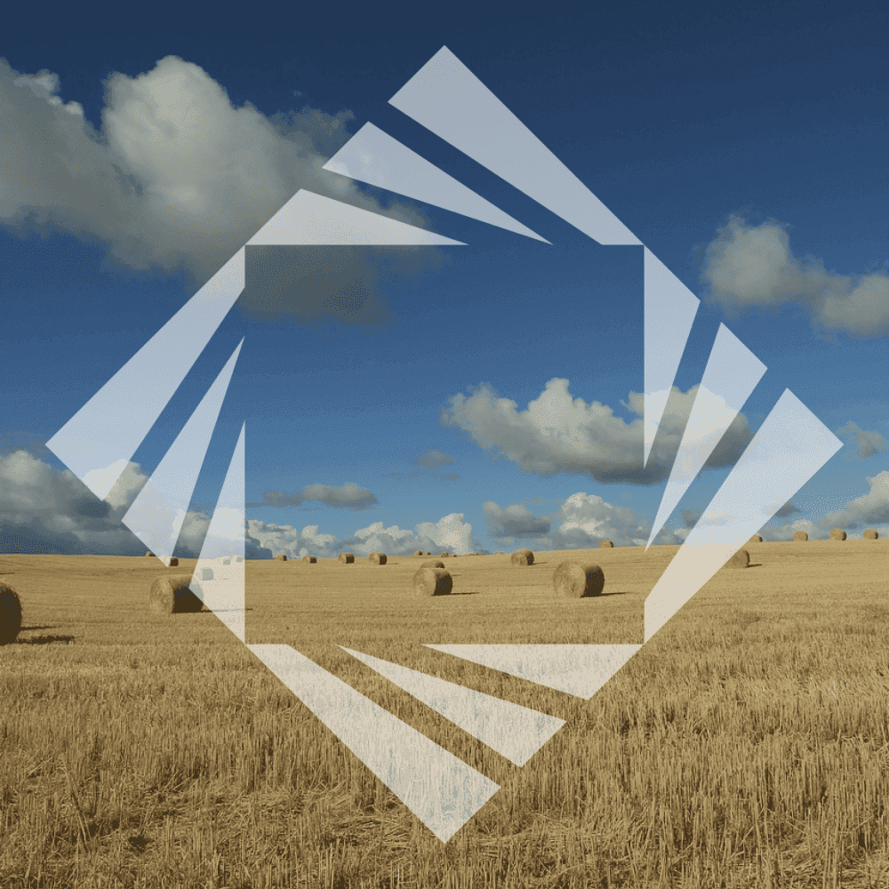 wheat field logo zeminvest