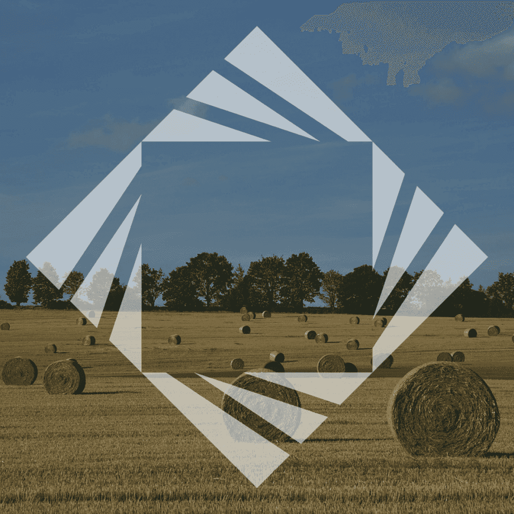 article about harvest stock photo