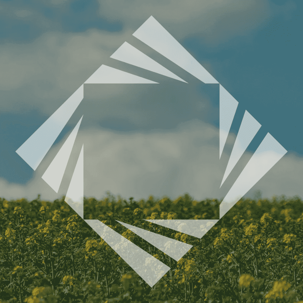 stock photo and logo zeminvest