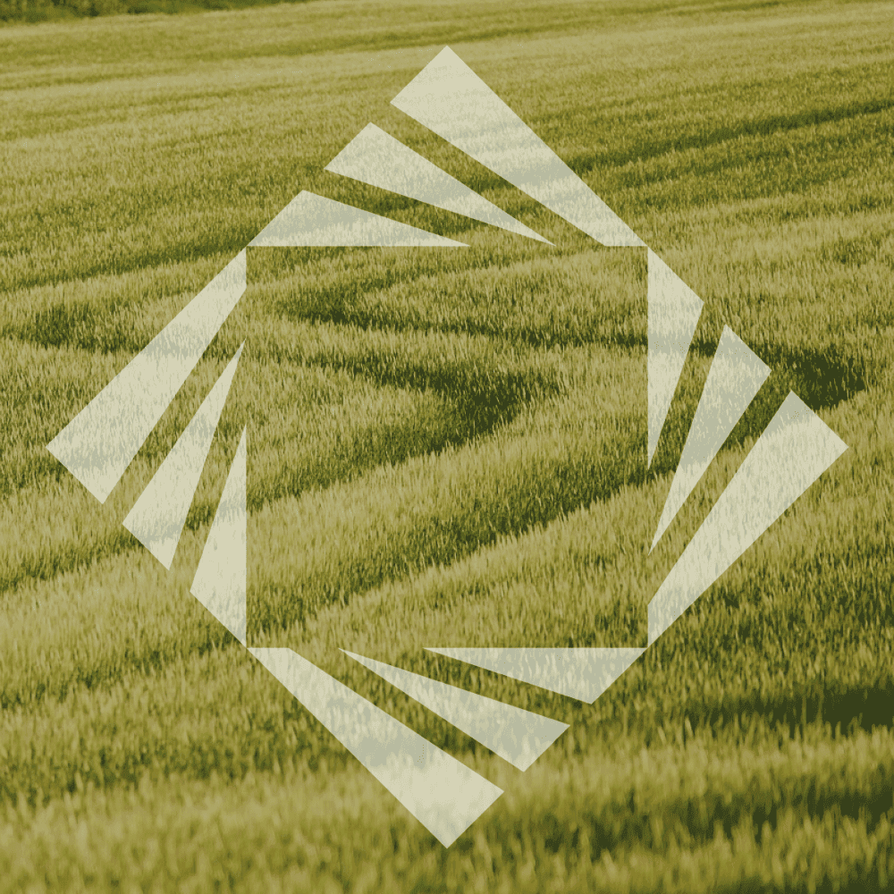 slide with logo