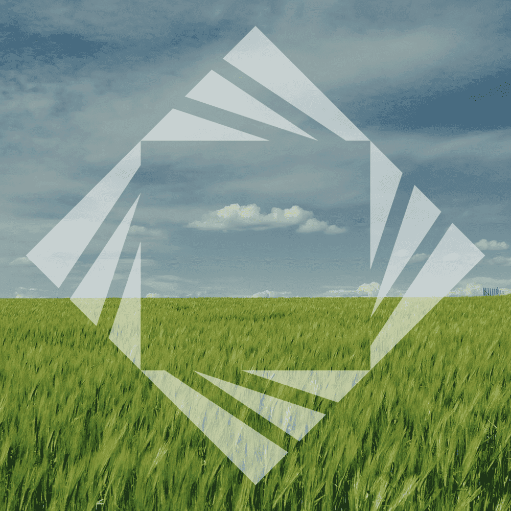 green wheat field logo zeminvest