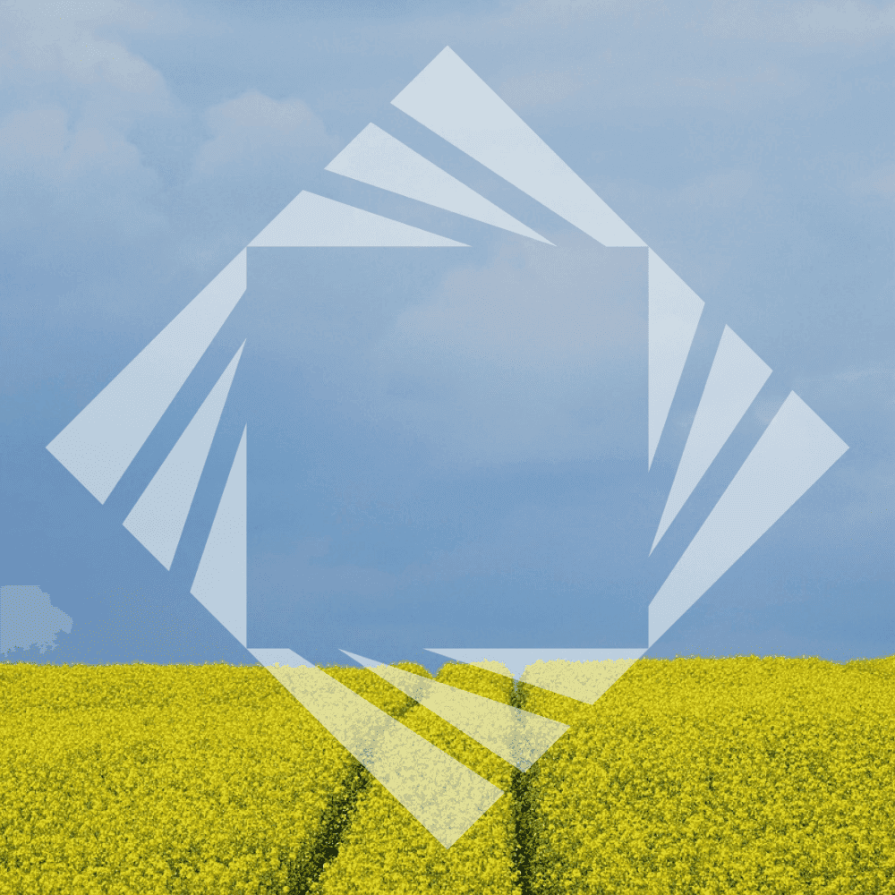 blue and yellow stock photo
