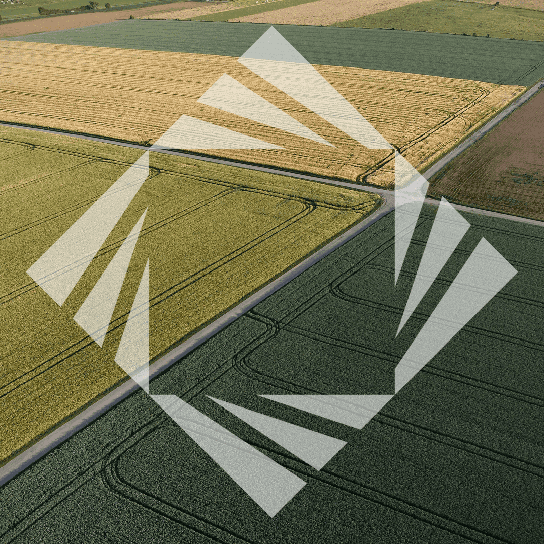 Stock photo with logo zeminvest