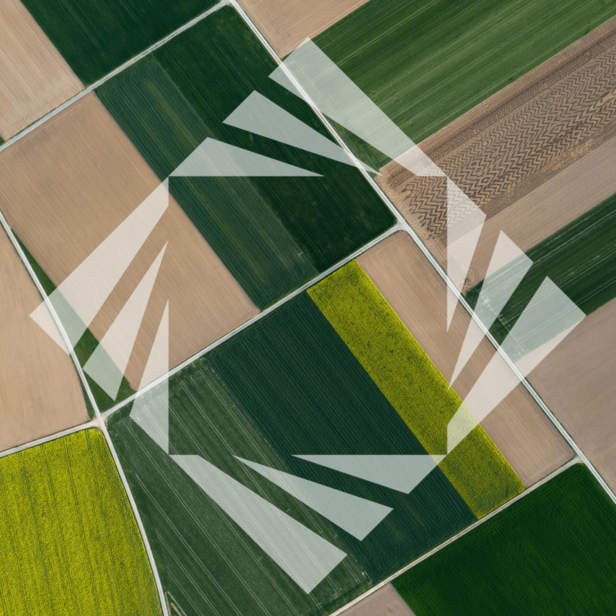 Stock photo with logo zeminvest 