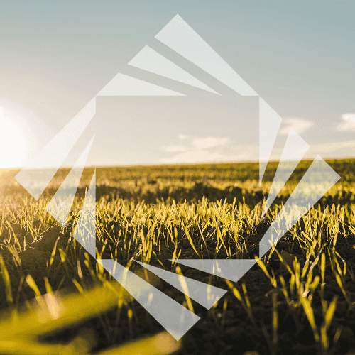 Stock photo with logo zeminvest