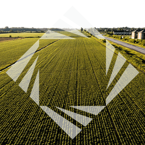 Stock photo with logo zeminvest