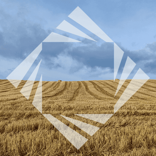 Stock photo with logo zeminvest