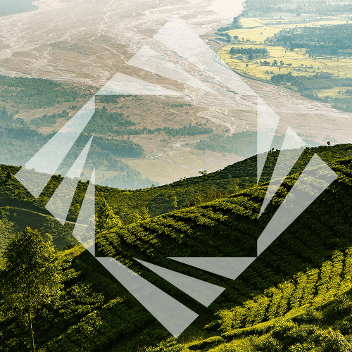 Stock photo with logo zeminvest