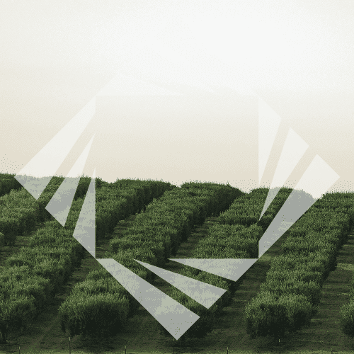 Stock photo with logo zeminvest