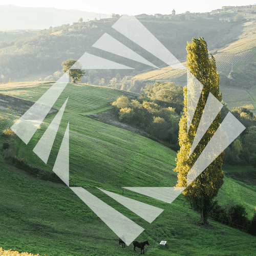 Stock photo with logo zeminvest