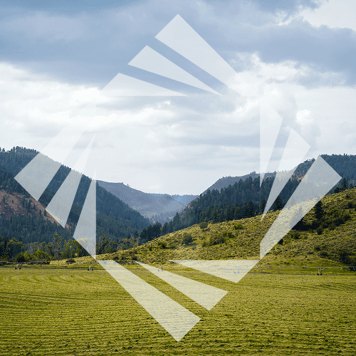 Stock photo with logo zeminvest