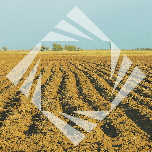 Stock photo with logo zeminvest