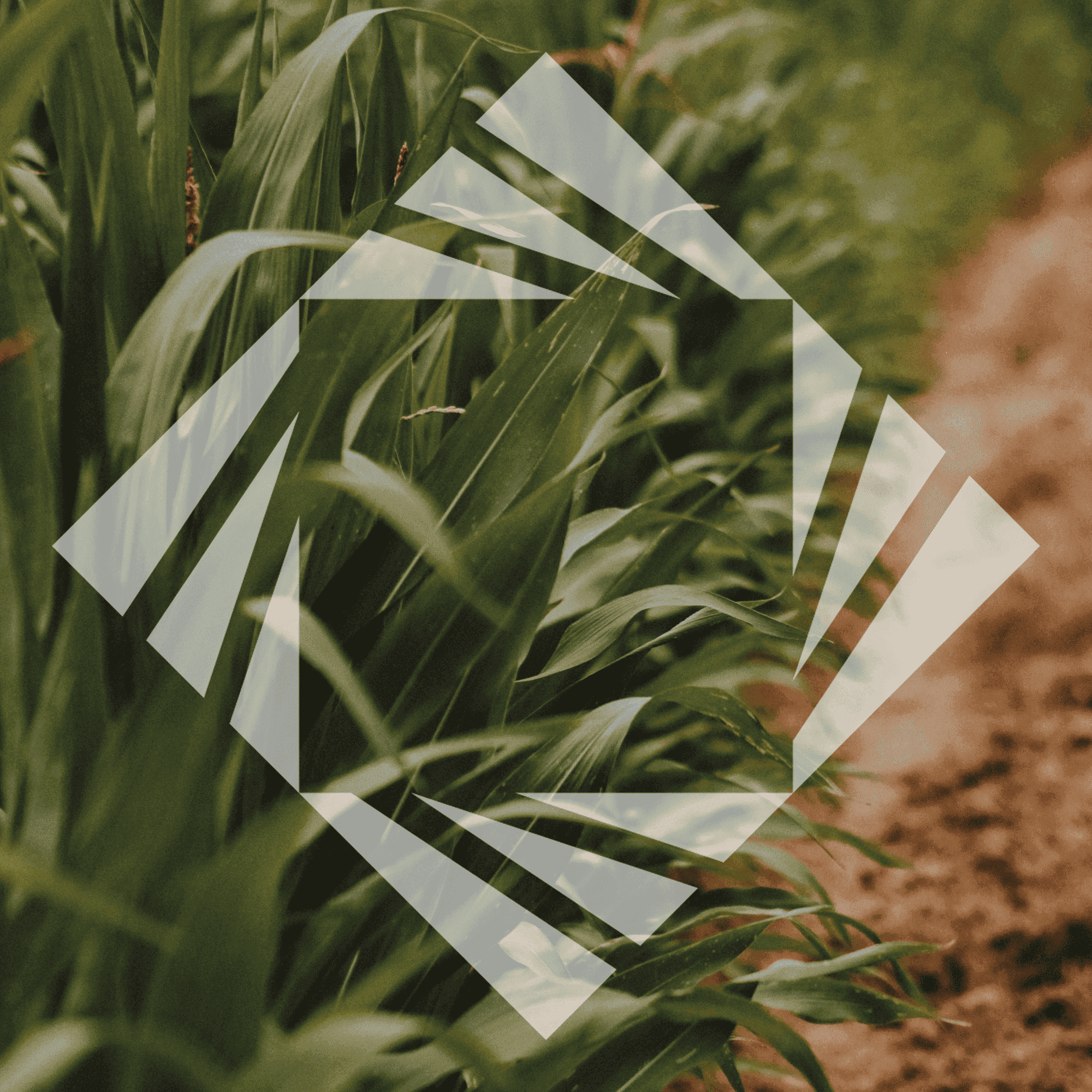 Stock photo with logo zeminvest 