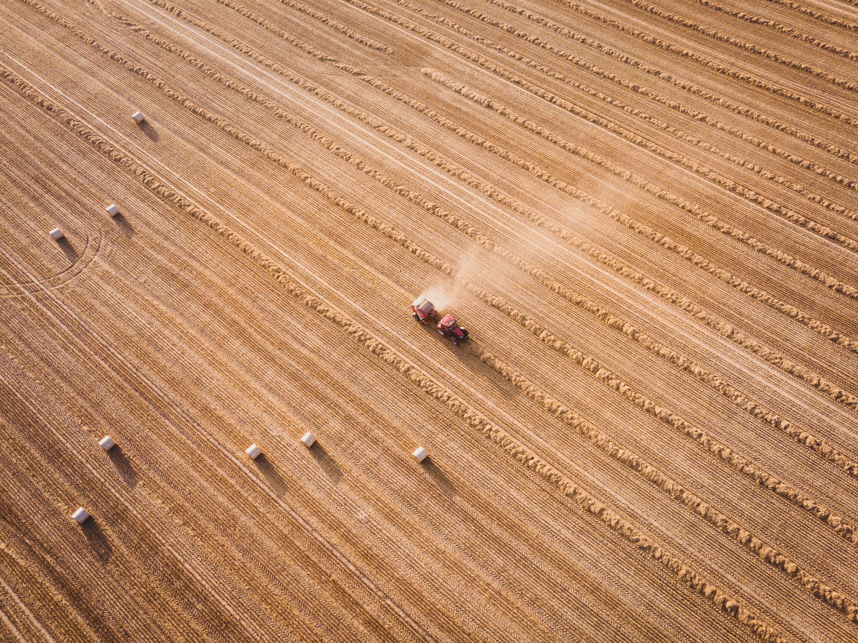 stock photo wheat field