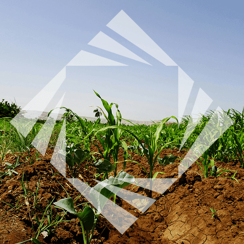 Stock photo with logo zeminvest