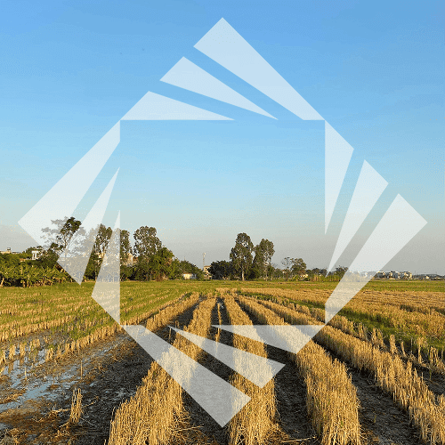Stock photo with logo zeminvest