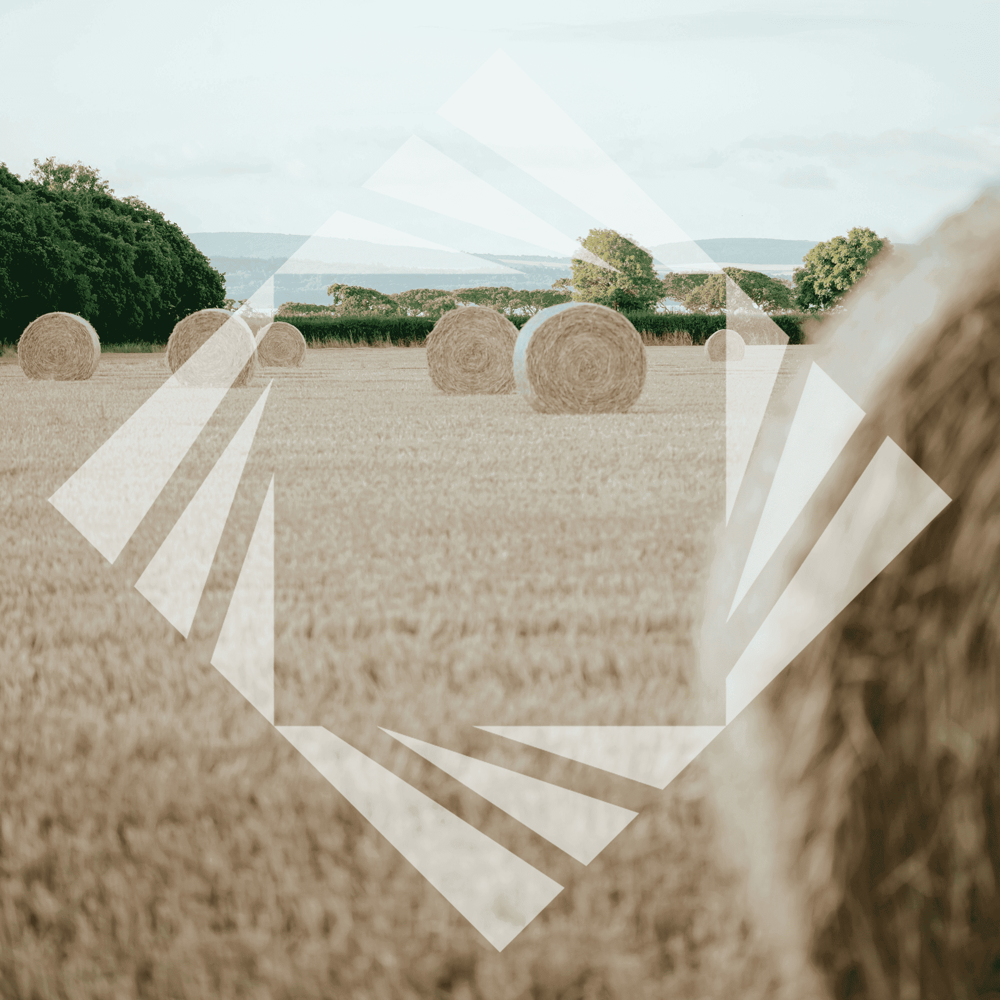 Stock photo with logo zeminvest