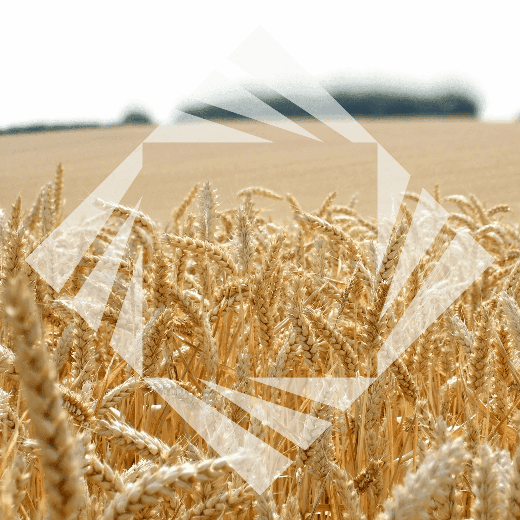 Stock photo with logo zeminvest