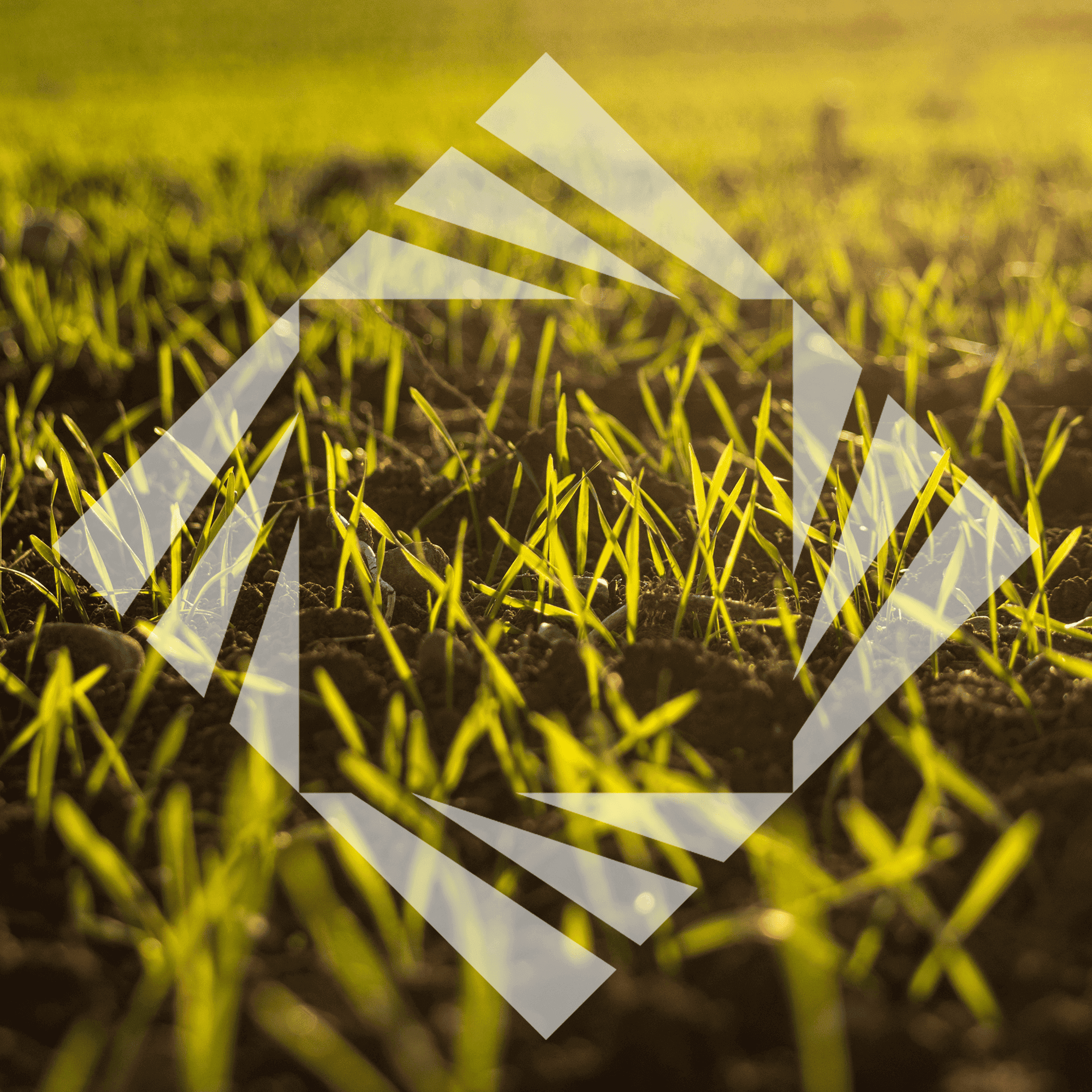 Stock photo with logo zeminvest