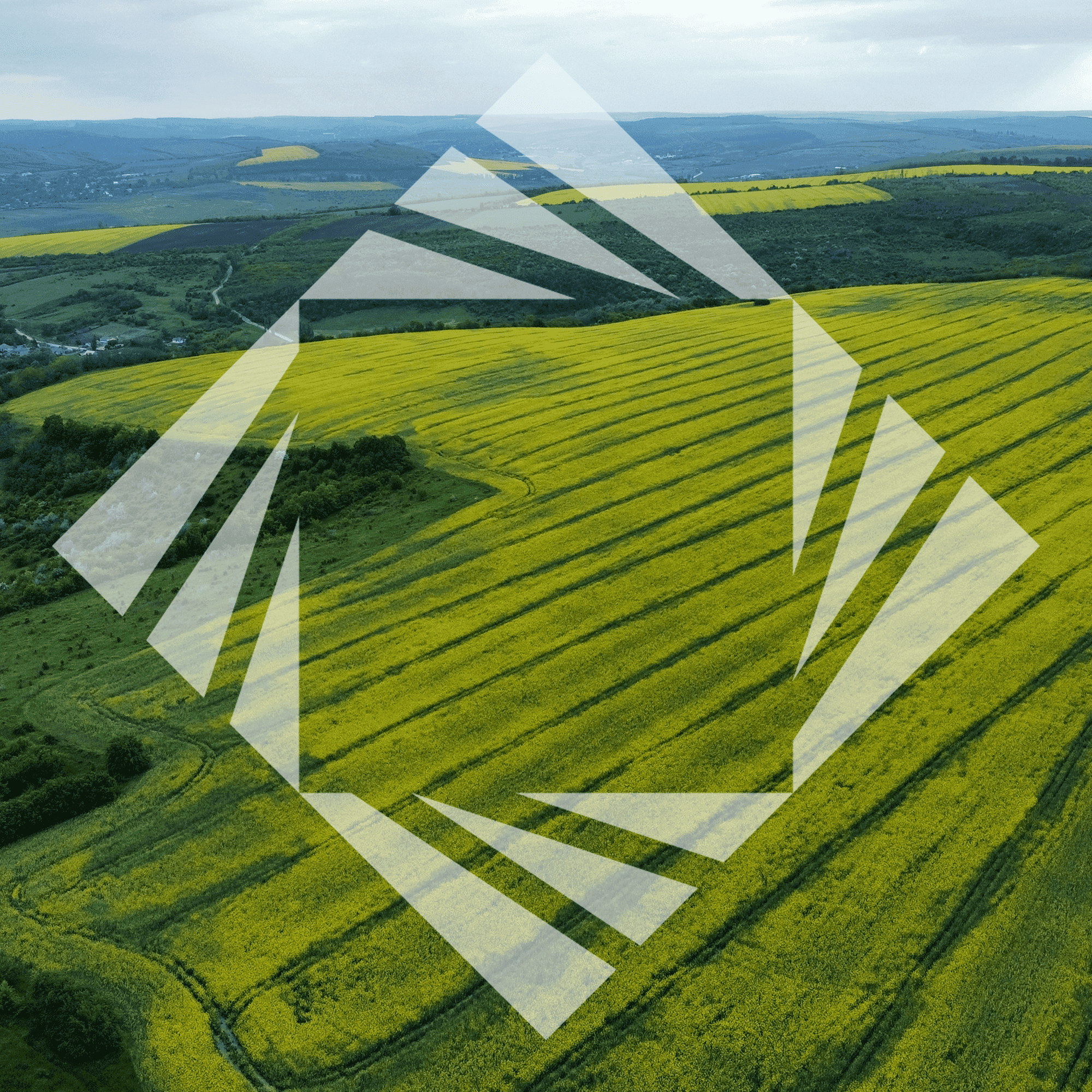 Stock photo with logo zeminvest